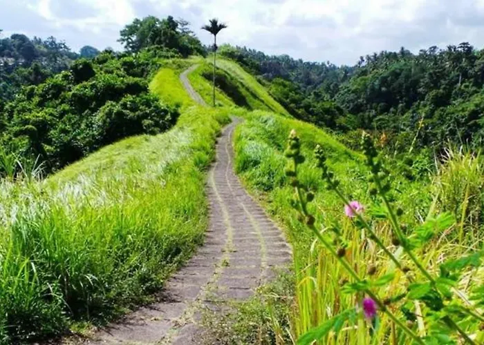 Sulendra Jungle View By Eps Gasthof 3*